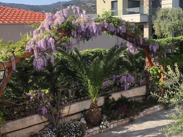 Aegean Villas Potos Exterior photo